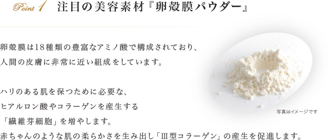 注目の美容素材『卵殻膜パウダー』。卵殻膜は18種類の豊富なアミノ酸で構成されており、人間の皮膚に非常に近い組成をしています。ハリのある肌を保つために必要な、ヒアルロン酸やコラーゲンを産生する「繊維芽細胞」を増やします。赤ちゃんのような肌の柔らかさを生み出し「V型コラーゲン」の産生を促進します。